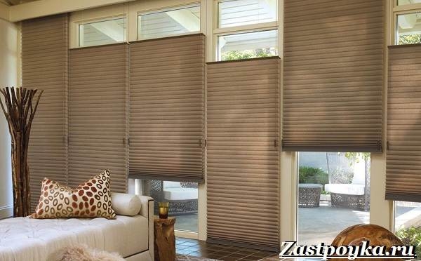 Шторы-плиссе: полный гайд по выбору, установке и уходу за ними