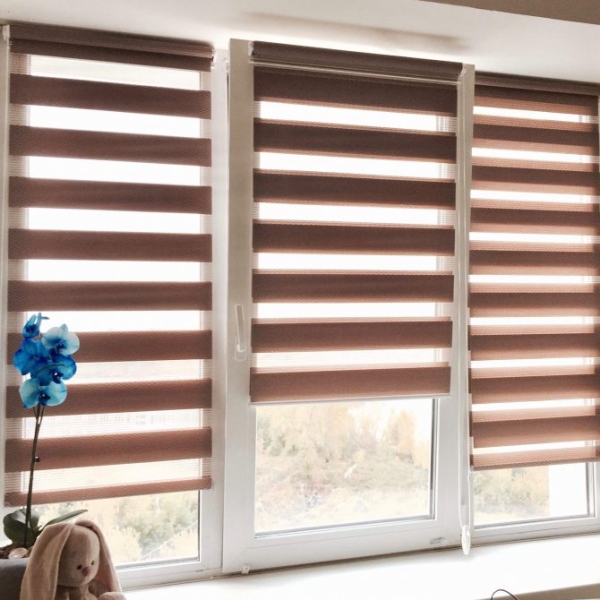 Шторы (жалюзи) День-Ночь — 90 фото новинок дизайна Шторы (жалюзи) День-Ночь — 90 фото новинок дизайна