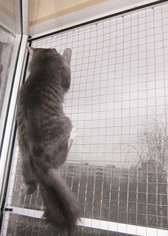 Москитные сетки на пластиковые окна и двери Москитные сетки на пластиковые окна и двери