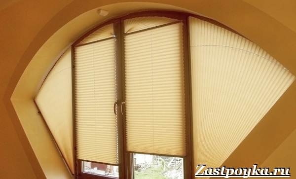 Шторы-плиссе: полный гайд по выбору, установке и уходу за ними