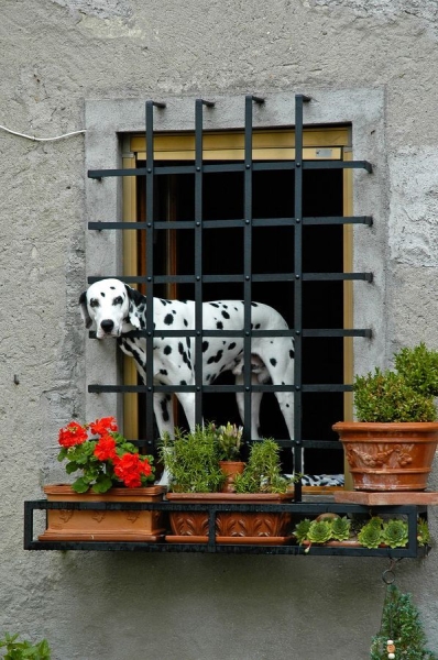 Решетки на окна — 105 фото лучших вариантов защиты окон и балконов Решетки на окна — 105 фото лучших вариантов защиты окон и балконов