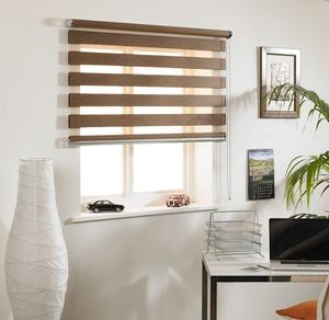 Рулонные шторы День Ночь на пластиковые окна: описание, установка