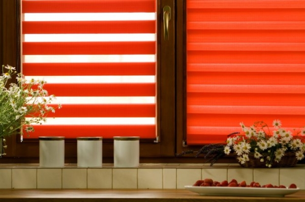 Шторы (жалюзи) День-Ночь — 90 фото новинок дизайна Шторы (жалюзи) День-Ночь — 90 фото новинок дизайна