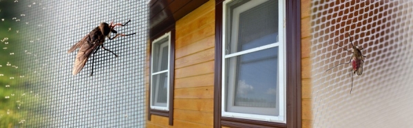 Москитные сетки на пластиковые окна и двери Москитные сетки на пластиковые окна и двери