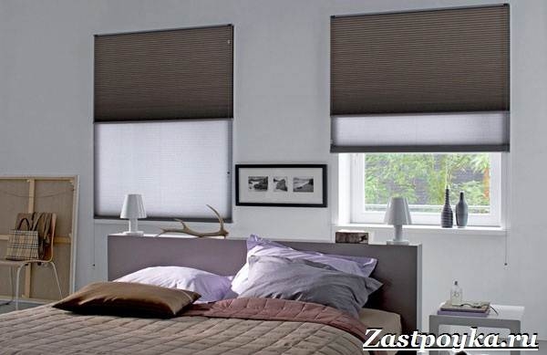 Шторы-плиссе: полный гайд по выбору, установке и уходу за ними