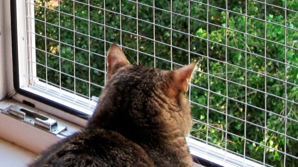 Москитные сетки на пластиковые окна и двери Москитные сетки на пластиковые окна и двери