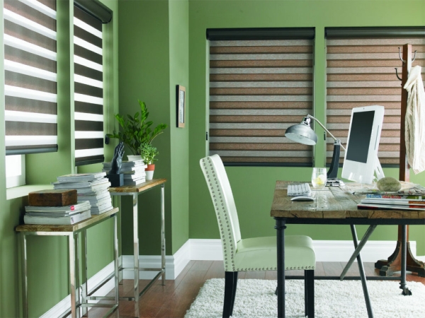 Шторы (жалюзи) День-Ночь — 90 фото новинок дизайна Шторы (жалюзи) День-Ночь — 90 фото новинок дизайна