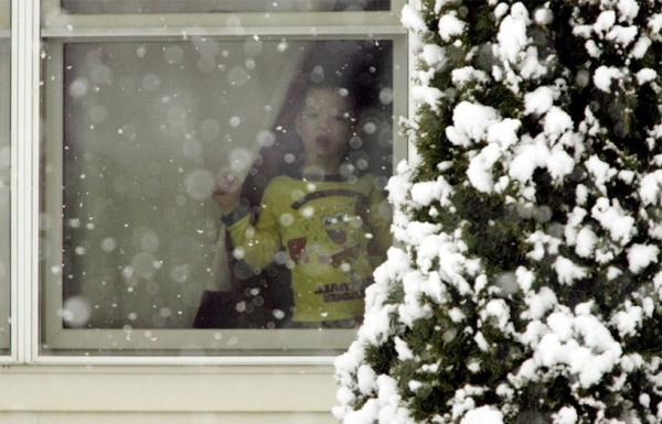 Москитные сетки на пластиковые окна и двери Москитные сетки на пластиковые окна и двери