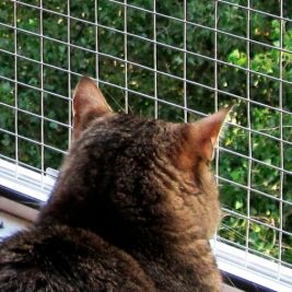 Москитные сетки на пластиковые окна и двери Москитные сетки на пластиковые окна и двери