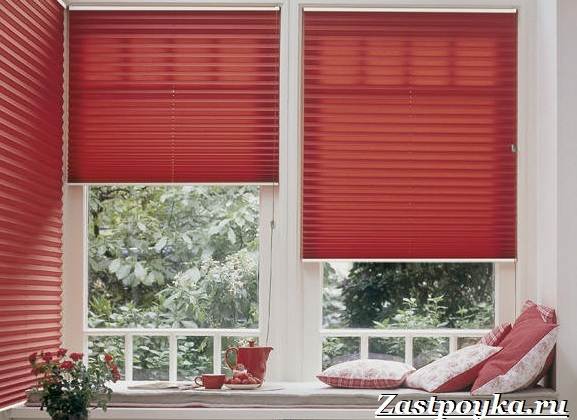 Шторы-плиссе: полный гайд по выбору, установке и уходу за ними