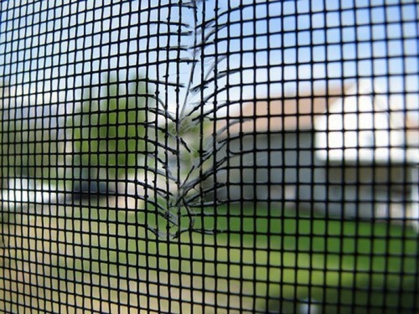 Самостоятельный ремонт порванных москитных сеток Самостоятельный ремонт порванных москитных сеток