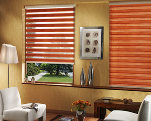 Римские и рулонные шторы день ночь, что это такое, какие ткани используются, фото в интерьере