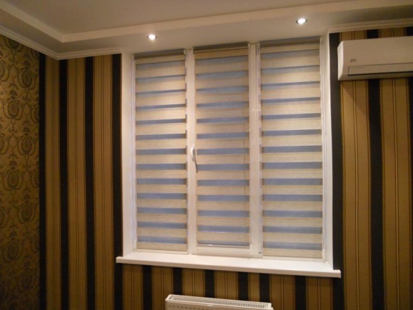 Шторы (жалюзи) День-Ночь — 90 фото новинок дизайна Шторы (жалюзи) День-Ночь — 90 фото новинок дизайна