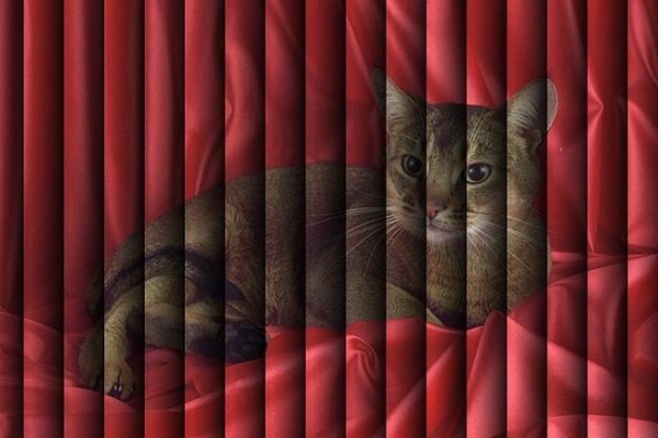 Как правильно выбрать жалюзи на балкон Как правильно выбрать жалюзи на балкон