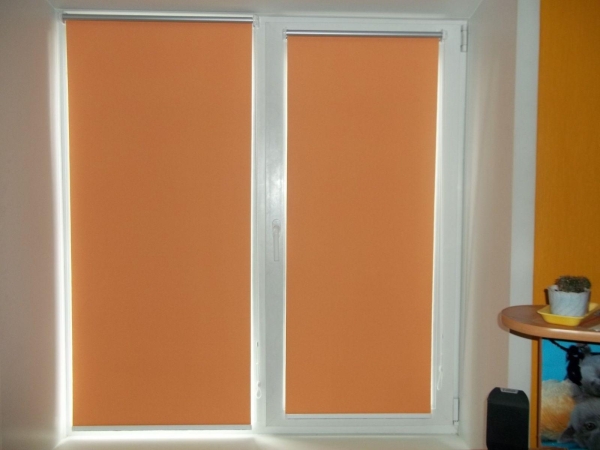 Рулонные жалюзи на пластиковые окна Рулонные жалюзи на пластиковые окна
