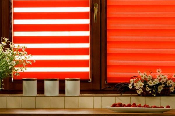 Рулонные шторы «день-ночь» на пластиковые окна: в интерьере, выбор конструкции, монтаж Рулонные шторы «день-ночь» на пластиковые окна: в интерьере, выбор конструкции, монтаж