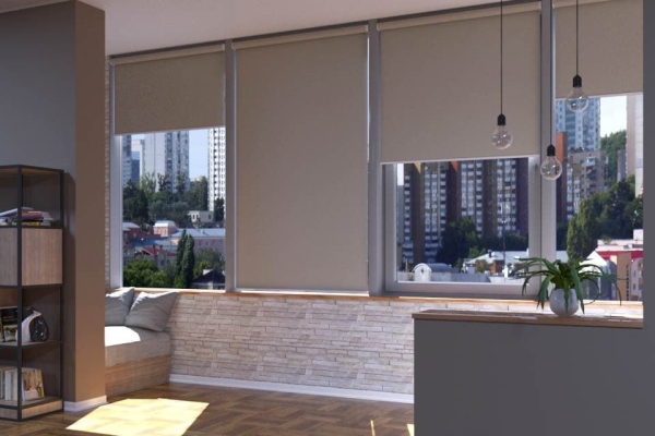 Рулонные жалюзи на пластиковые окна Рулонные жалюзи на пластиковые окна