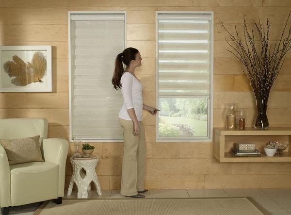 Рулонные шторы «день-ночь» на пластиковые окна: в интерьере, выбор конструкции, монтаж Рулонные шторы «день-ночь» на пластиковые окна: в интерьере, выбор конструкции, монтаж