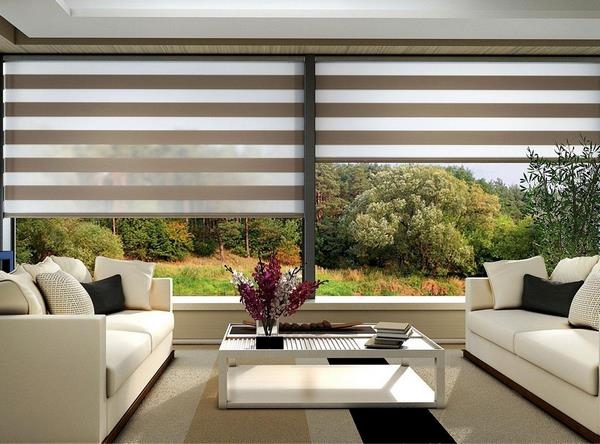 Рулонные шторы «день-ночь» на пластиковые окна: в интерьере, выбор конструкции, монтаж Рулонные шторы «день-ночь» на пластиковые окна: в интерьере, выбор конструкции, монтаж