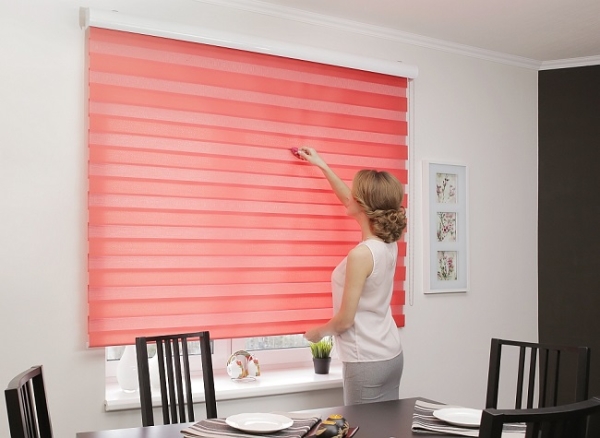 Рулонные шторы «день-ночь» на пластиковые окна: в интерьере, выбор конструкции, монтаж Рулонные шторы «день-ночь» на пластиковые окна: в интерьере, выбор конструкции, монтаж