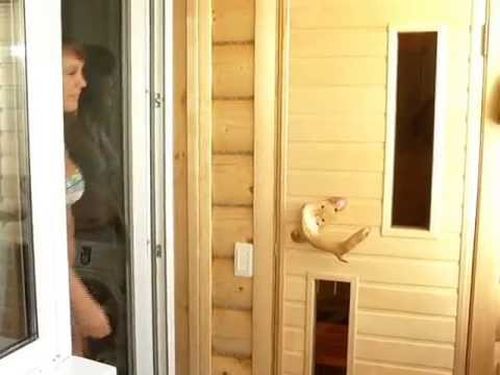 Дизайн лоджии — 75 реальных фото